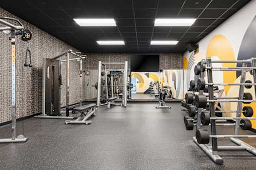 A gym with a variety of equipment including weights and weight machines.