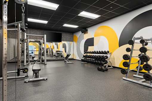 A gym with a variety of equipment including weights and a bench.