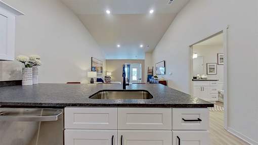 Wide angle of the kitchen sink with gooseneck faucet.