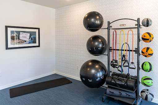A gym setup with a black ball, a black mat, and a framed picture on the wall.