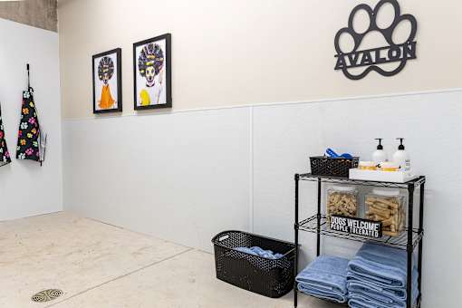 A room with a white wall and a black basket on the floor.