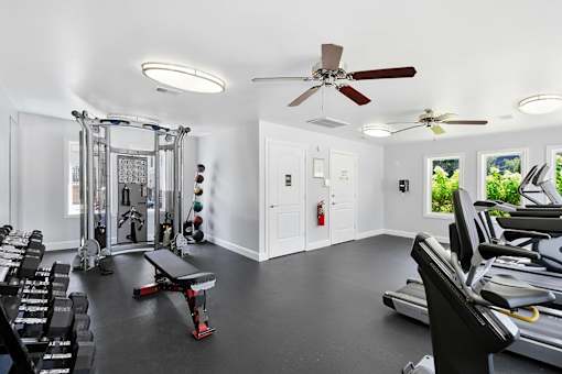 A gym with treadmills, weights, and a bench press.