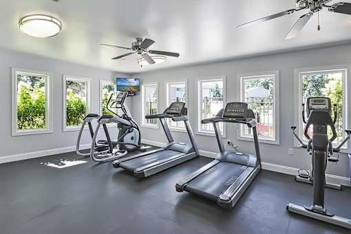 A spacious home gym with treadmills, elliptical machines, and a ceiling fan.