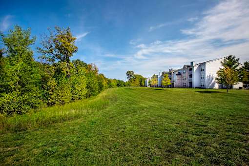 A grassy field with trees and buildings in the background.