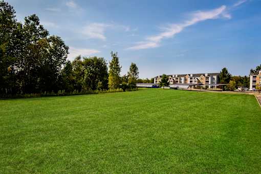A large grassy field with trees and a building in the background.