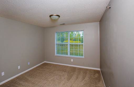 A room with a carpeted floor and a window showing a green lawn outside.