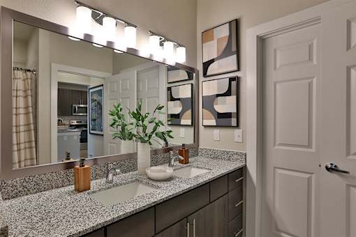 A bathroom with a vanity, a mirror, and a plant.