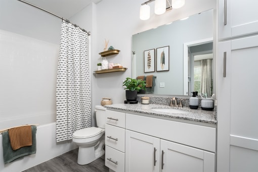 a bathroom with a sink and a toilet