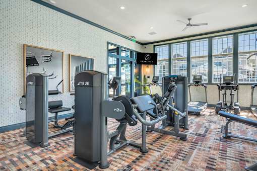 A gym with a variety of equipment including a squat rack, bench, and weights.
