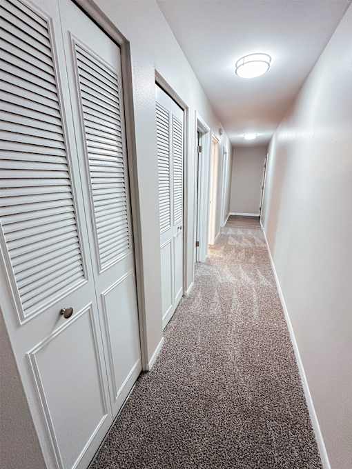 A long hallway with white doors and carpeted floors.