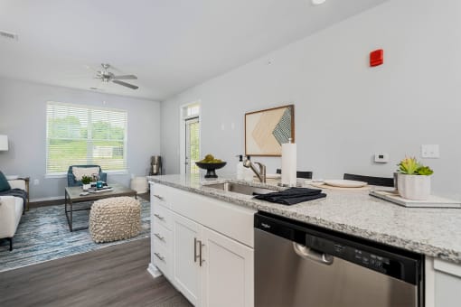 a kitchen with a counter top and a dishwasher in a living room