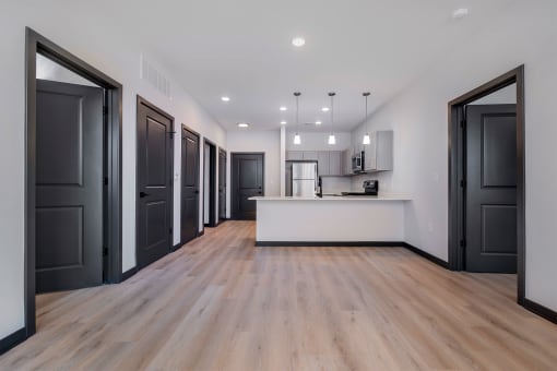 apartment living room and kitchen