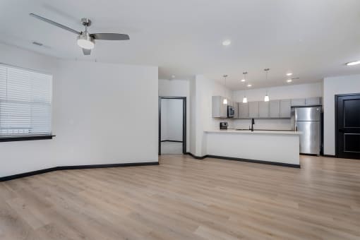 open living room and kitchen