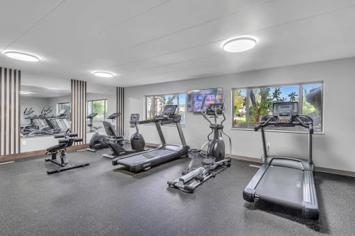 the gym is equipped with cardio equipment and weights