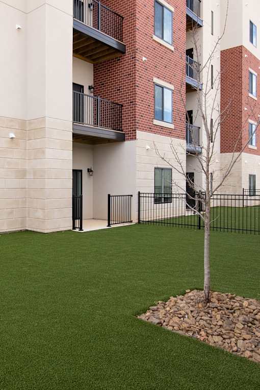 A tree is planted in a small garden in front of a building.
