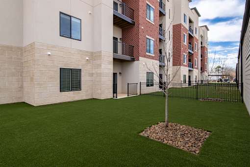 A tree is planted in a bed of stones in a courtyard.