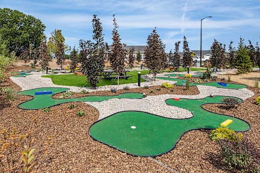 A miniature golf course with a green and white hole surrounded by trees.