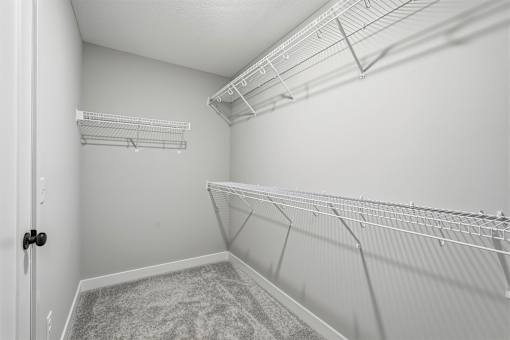 A white closet with a carpeted floor and a door on the left.