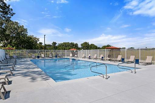 A large outdoor swimming pool surrounded by sun loungers and trees.