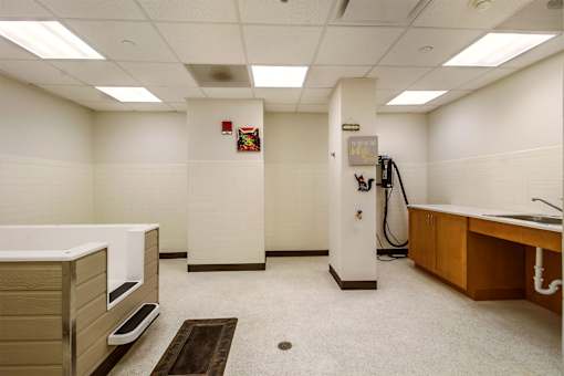 A clean, well-lit bathroom with a sink and a toilet.