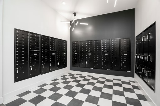 the isaac apartments roseville minnesota mail and package lockers