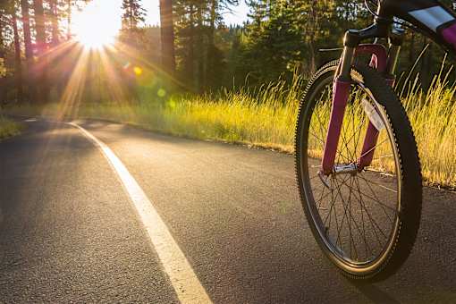 A bicycle is parked on the side of a road with the sun shining through the trees.