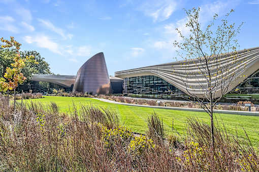 A modern building with a curved roof and a tall tree in the foreground.
