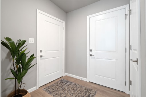 an empty room with two white doors and a potted plant