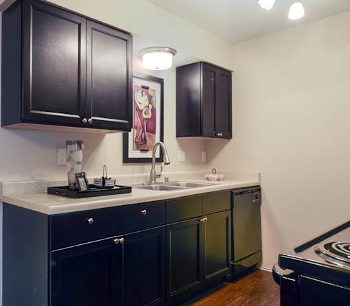 A kitchen with black cabinets and a white countertop.