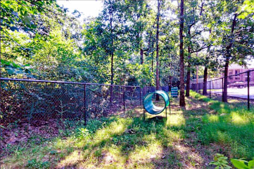 A green playground slide in a sunny, wooded area.