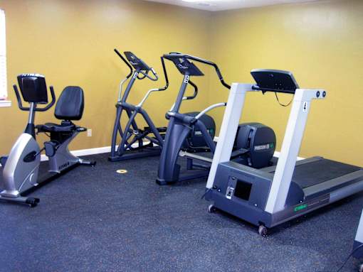 A gym with a treadmill, elliptical trainer and a recumbent bike.
