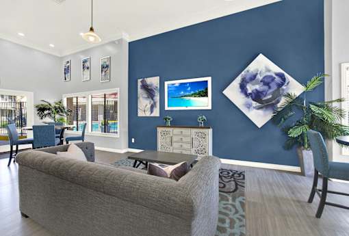 A living room with a grey couch and a blue wall.