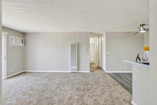 Spacious living room with ceiling fan and carpet at ELEVATE Apartments HOMES, California, 92870