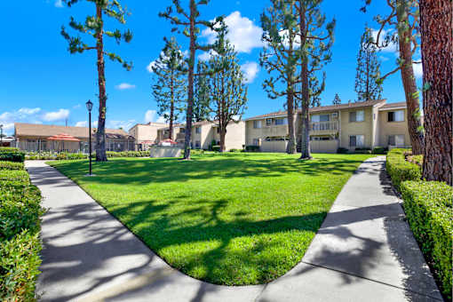 Courtyard with walking paths and green lawn at ELEVATE Apartments HOMES, Placentia