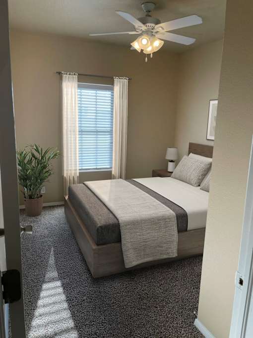 A bedroom with a bed, a ceiling fan, and a plant.