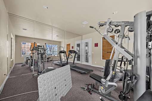 A gym with a variety of equipment including a treadmill, weights, and a bench press.