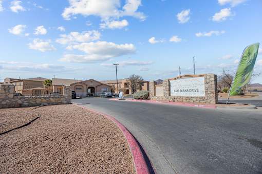 The image shows a road leading to a sign that reads "445 DIANA DRIVE".