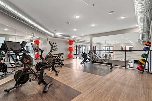 A gym with a row of stationary bikes and a row of rowing machines.