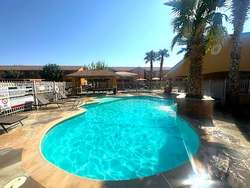A large outdoor swimming pool surrounded by palm trees.