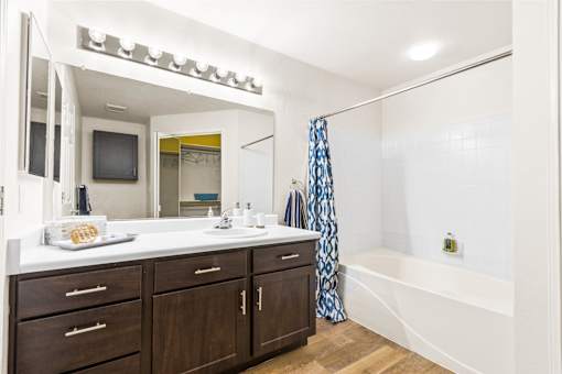 a bathroom with a tub and a sink and a mirror