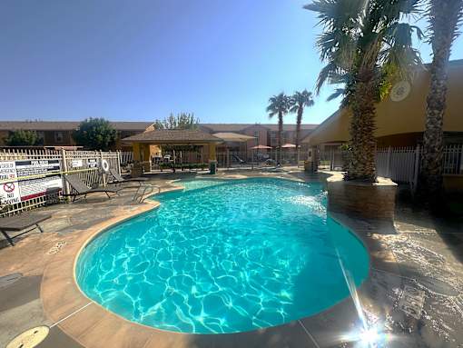 A large outdoor swimming pool surrounded by palm trees and a sunny sky.