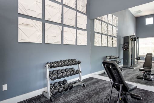 fitness center dumbells