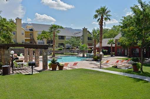 A pool area with a bridge and palm trees.