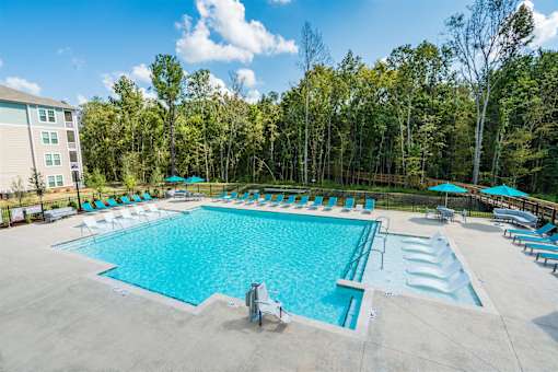 A large outdoor swimming pool surrounded by trees and lounge chairs.