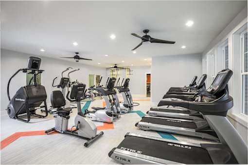 A row of treadmills and stationary bikes in a gym.