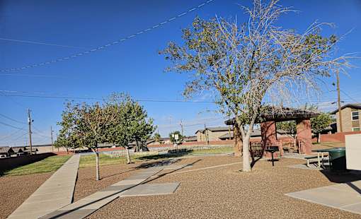 A playground with a swing set and a tree.