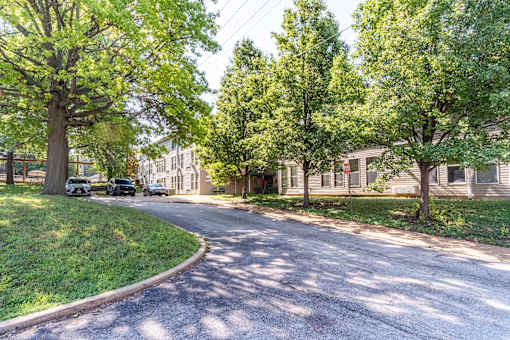 A tree-lined street with cars parked on the side.
