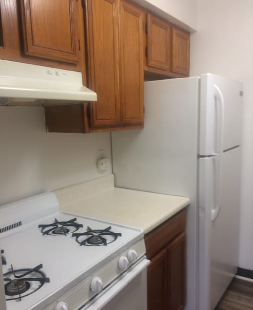 a kitchen with a stove and a refrigerator