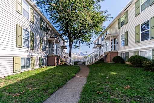 A tree in the middle of a grassy area separates two apartment buildings.