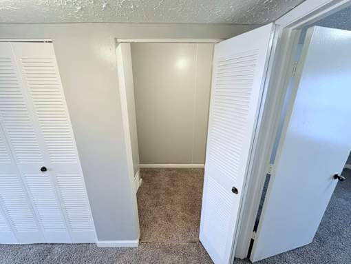 A white closet with a carpeted floor and two doors.